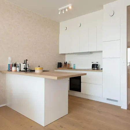 公寓 Apartment In Ostend With Terrace