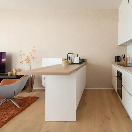 公寓 Apartment In Ostend With Terrace 奥斯滕德